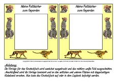 Fach-Faltbücher-Gepard.pdf